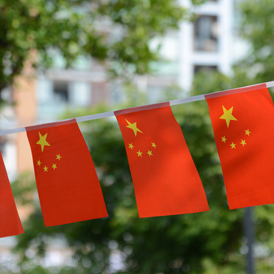 直销8号14x21cm中国串旗25面小国旗红旗 国旗定制批发厂家供应