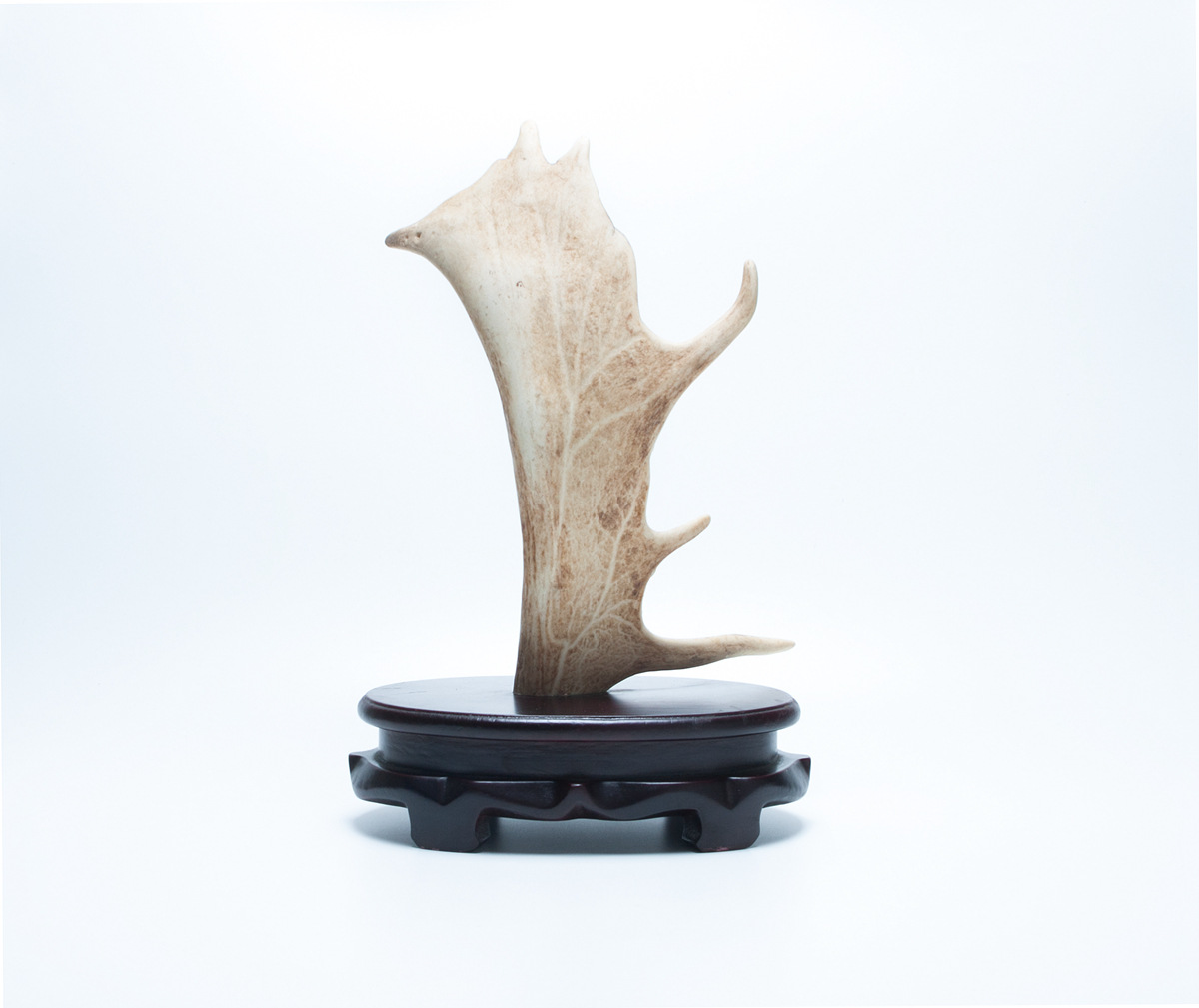 创意家居雕刻脱蜡天然鹿角摆件 收藏送礼办公室礼品刻字工艺摆件