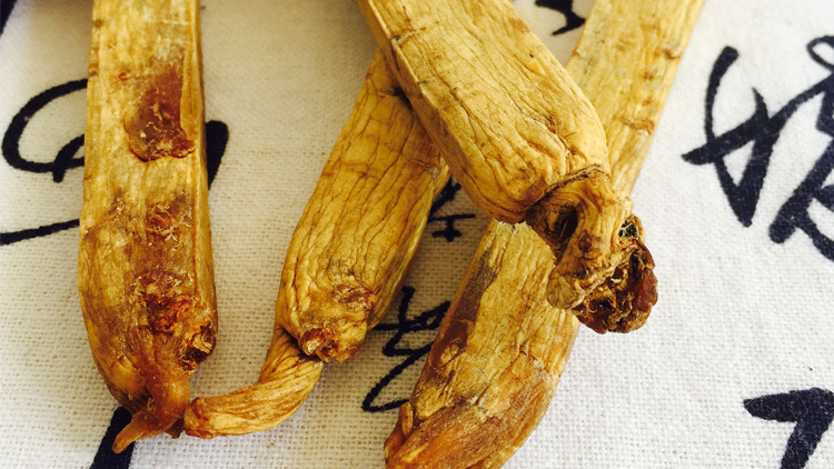 东北6年根无糖高丽参长白山人参黄马褂红参正官庄黄皮别直参