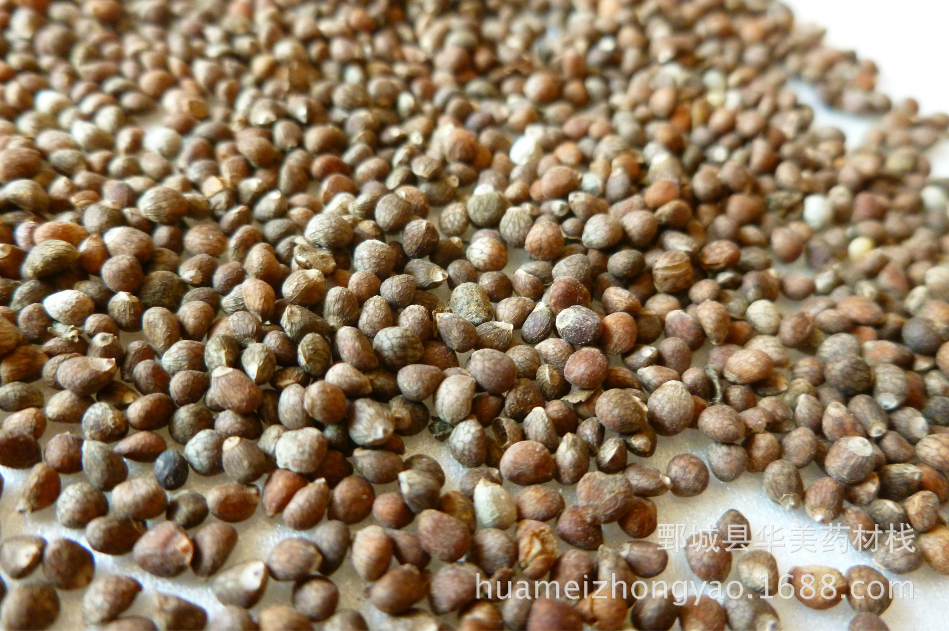 紫苏子1000克华美中药中药材现货批发供应紫苏子新货