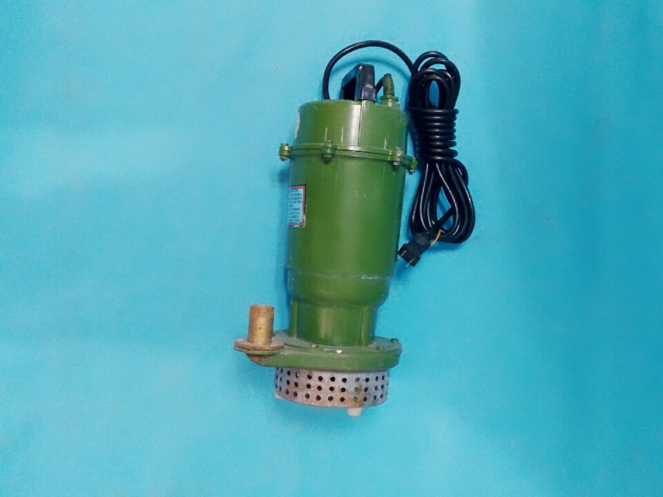 小型潜污泵 0.75kw单相潜水泵 大盛