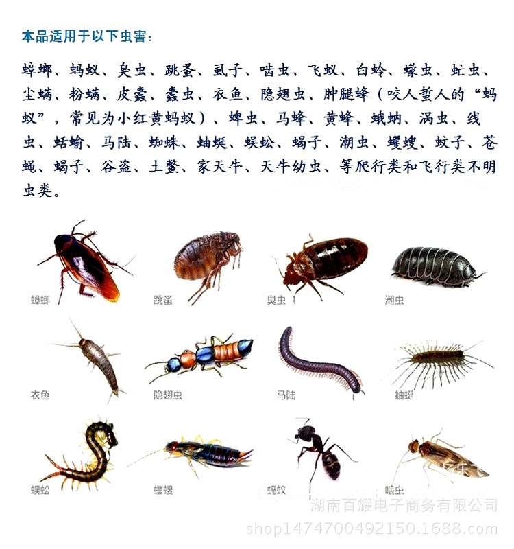 氟虫腈 杀虫剂 灭蟑螂药 蚂蚁药 虱子药 臭虫药 苍蝇药 跳蚤药