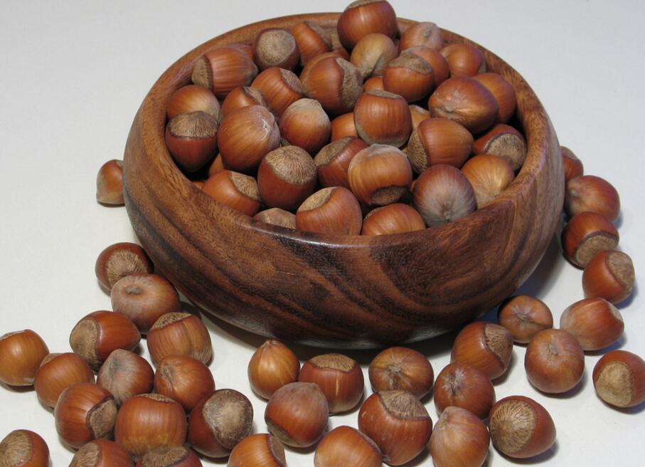 预售2016年新鲜老品种小栗子 恩施特产板栗 欢迎预订13477288868