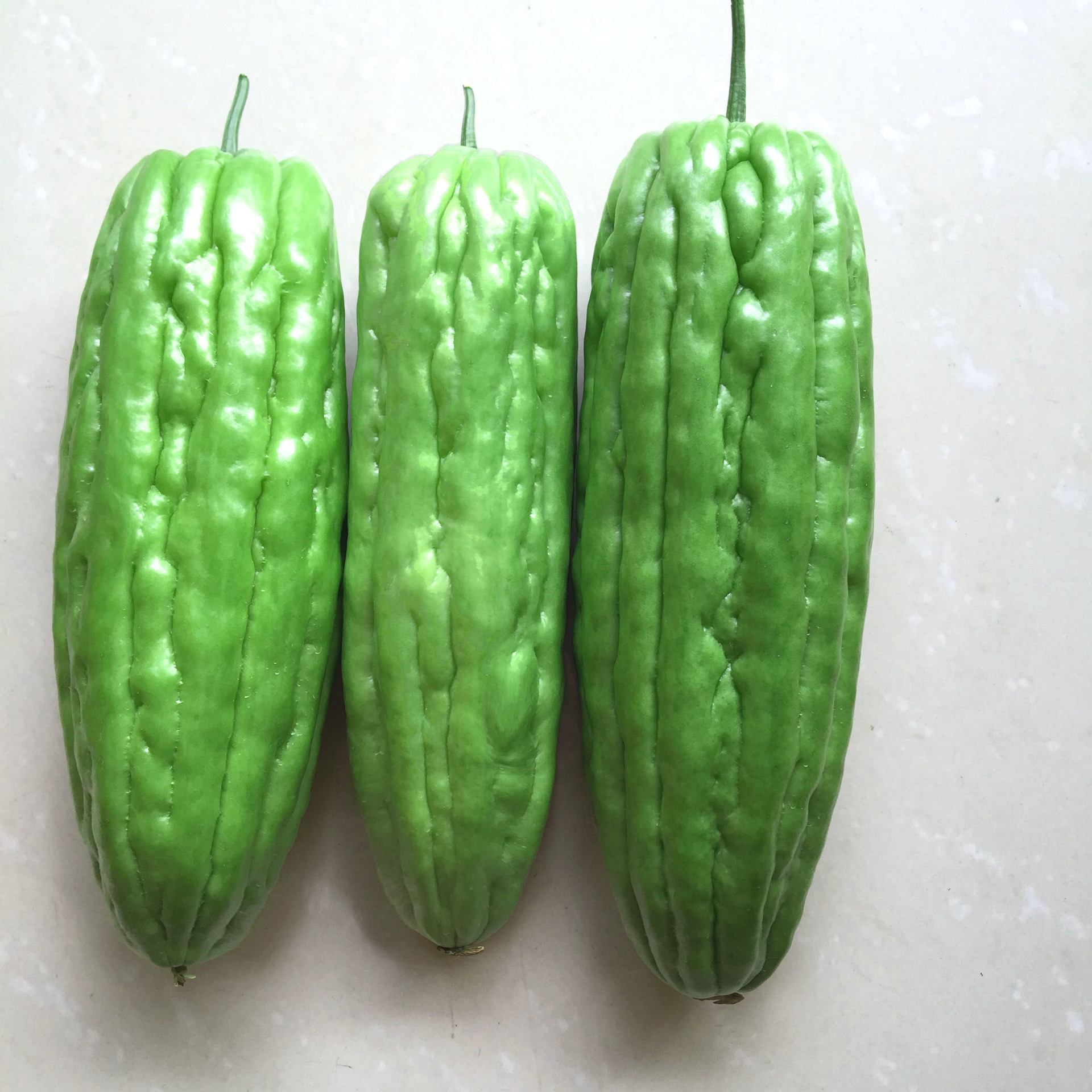 圆满苦瓜 黑籽粗瘤大肉种子**油绿高产中熟苦瓜农作物蔬菜种.