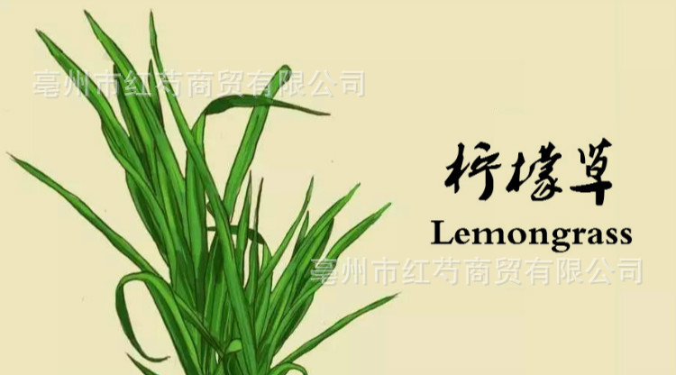 批发供应16年特级新货柠檬草柠檬草茶柠檬香茅色绿质优