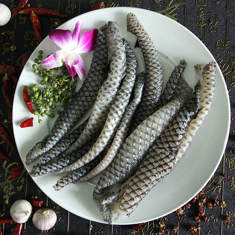 新鲜特色冷冻鱼皮 众鑫旺食品批发 优质精品火锅,中