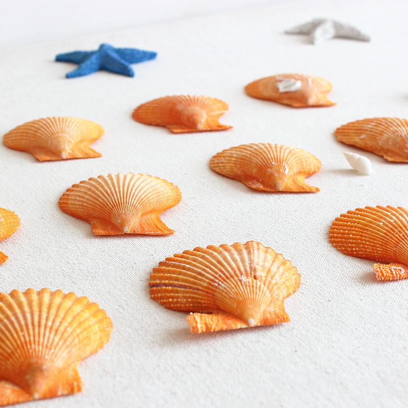 地中海风格创意天然黄色大贝壳海洋风扇贝摆件鱼缸水族箱装饰品
