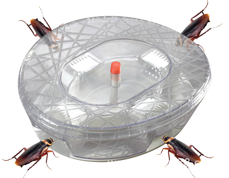 活捕蟑螂器 蟑螂粘板 蟑螂诱捕器 鸟巢型蟑螂捕捉器 小强专杀