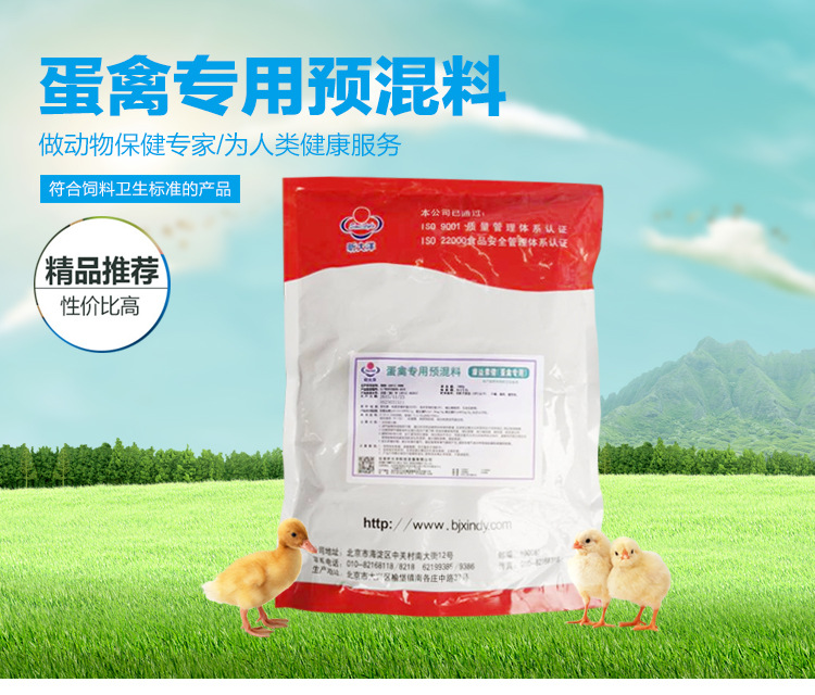 蛋禽专用预混料 产蛋高峰期鸡用预混料 蛋