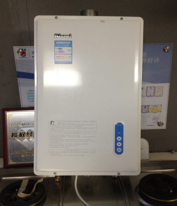 林内 jsq20-s/rus-10fes 强排式 燃气热水器 天然气 液化气 10升