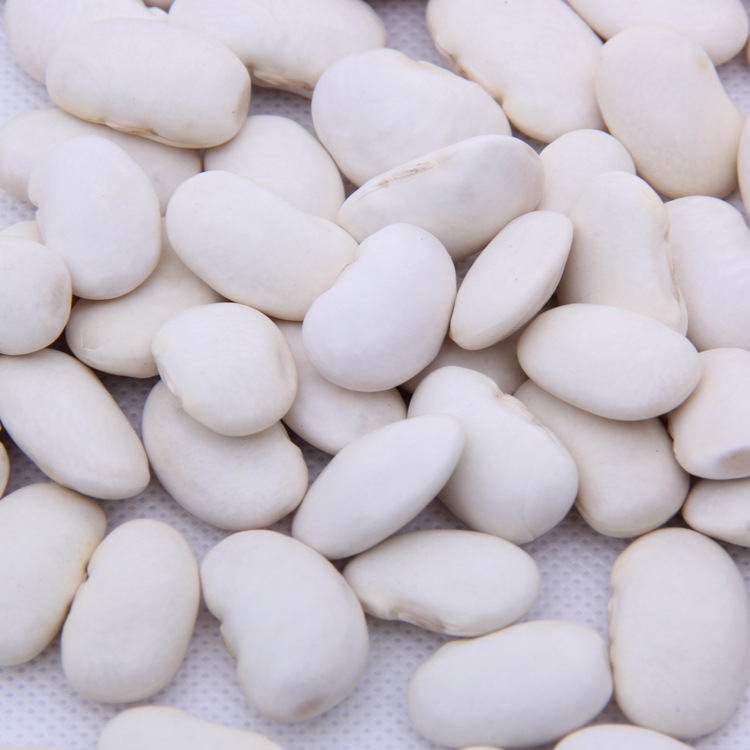 五谷杂粮小白芸豆 春雷五谷招商加盟