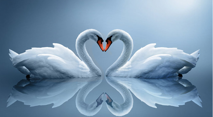 乾龙逸品 动物造型金色五件套大天鹅浴缸龙头 欧式仿古古典艺.