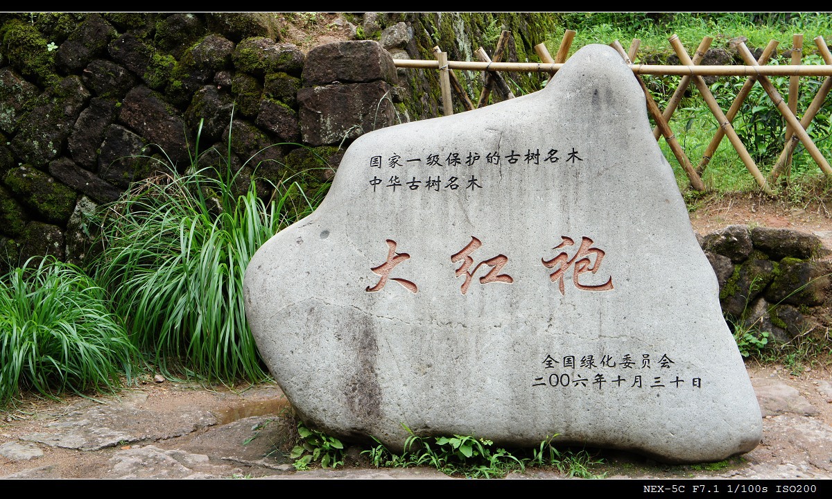 产地**安溪大红袍岩茶醇香型 乌龙茶散装茶叶大红袍回甘好包.