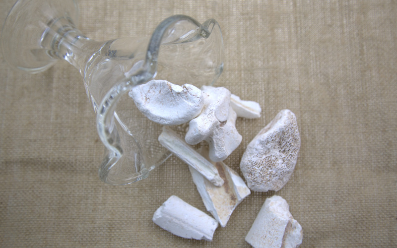 批发散装 白龙骨