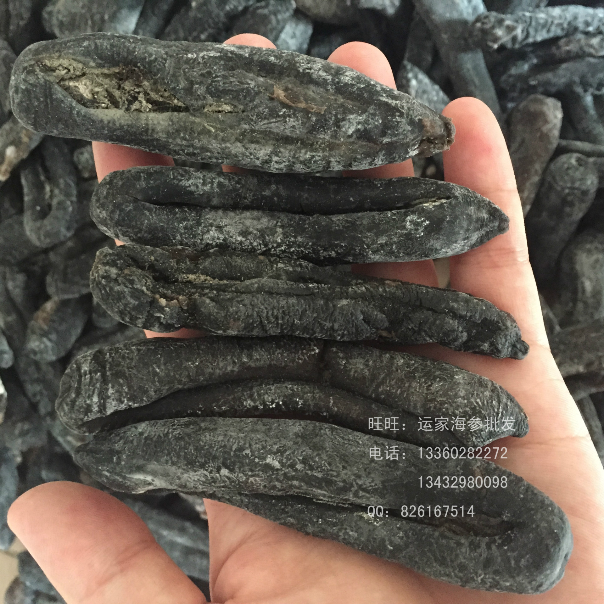 去皮海茄子参批发无泥巴紫黑茄子参肚子干净 8成干海参批发