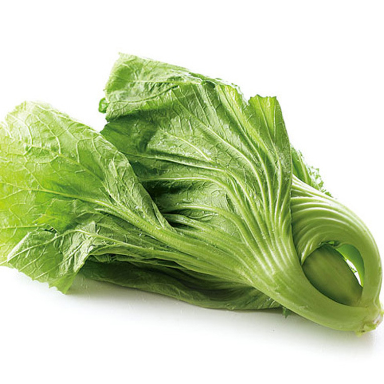 首页 蔬菜 根菜类 芥菜 >厂家供应 新鲜盖菜500g 青菜 新鲜蔬菜配送