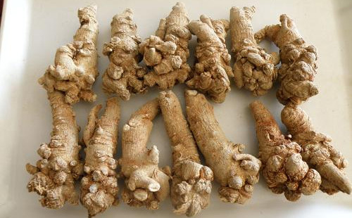 云南文山三七25头30头40头三七田七云南中药材特产文山种.