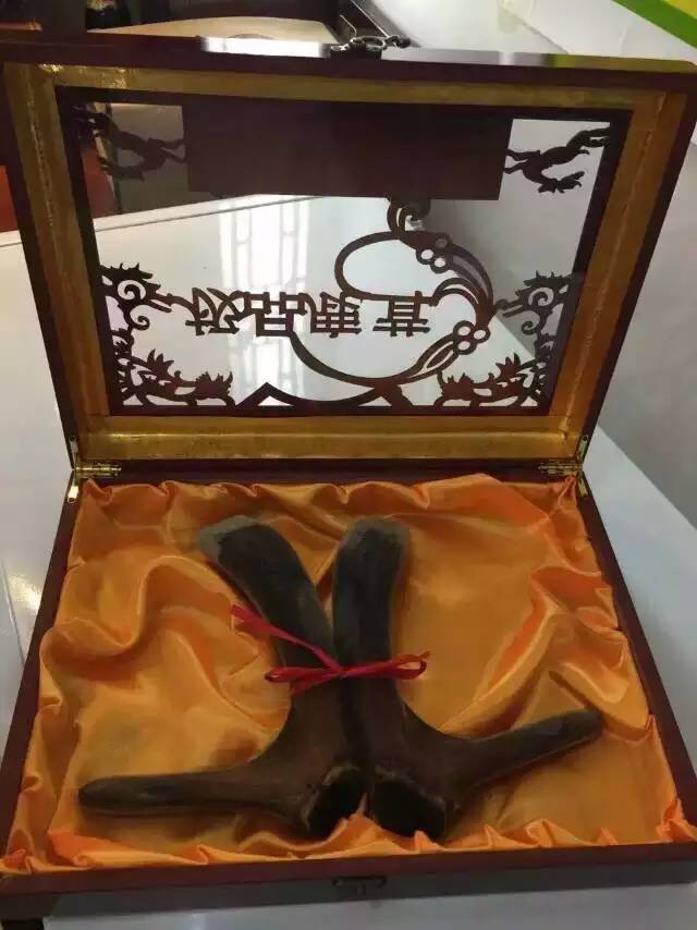 正宗东北三宝——鹿茸