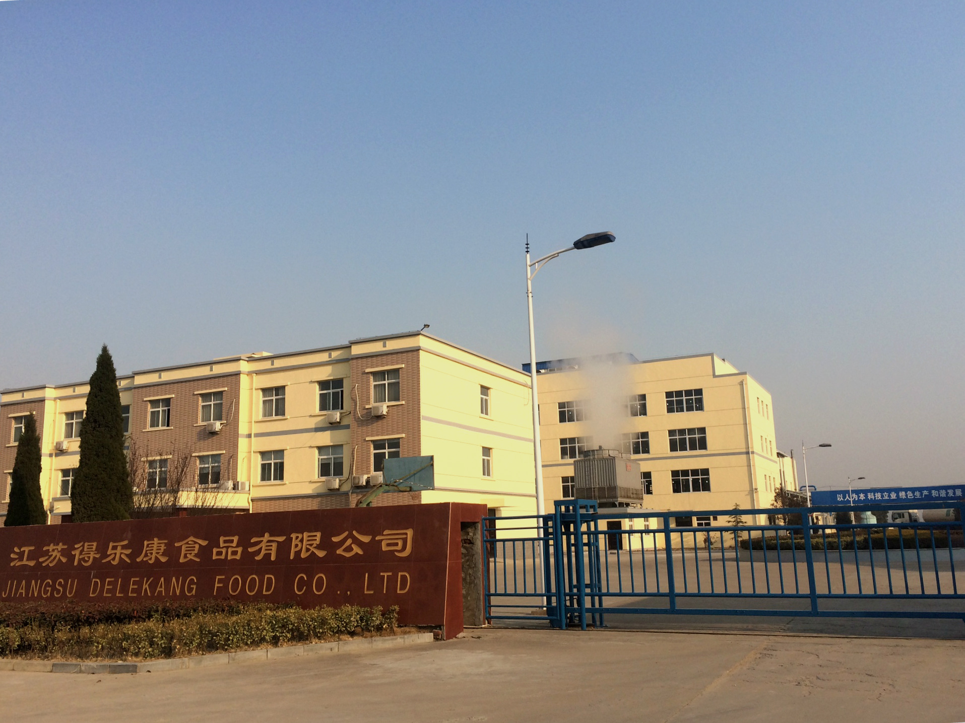 银杏叶提取物 黄酮24%内酯6%ginkgo biloba.