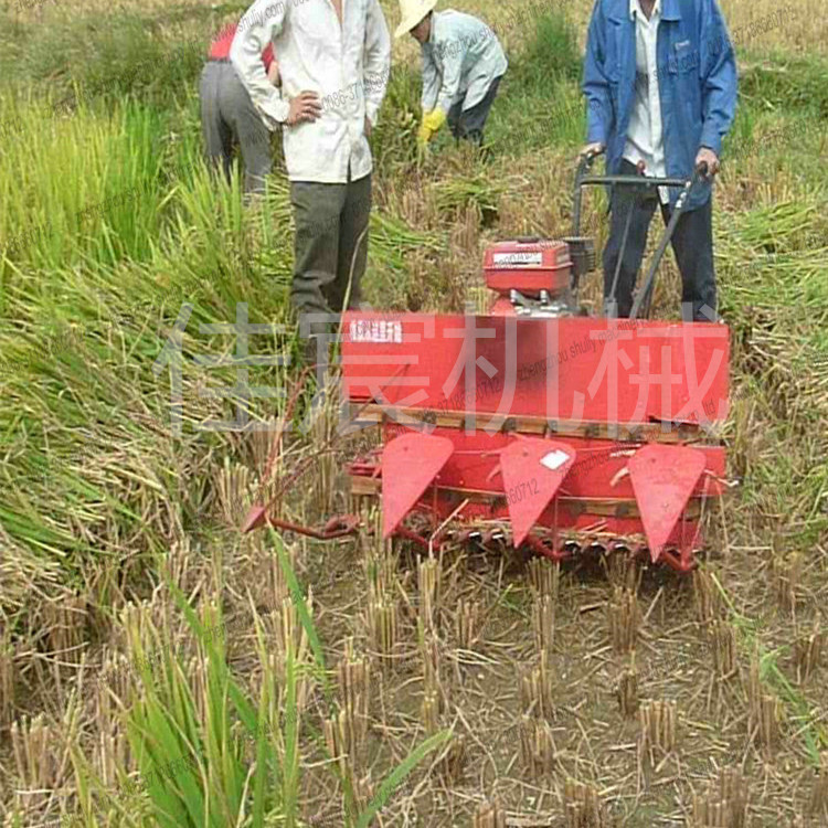 抚顺手扶式水稻收割机价格 全自动牧草收获机应用广泛