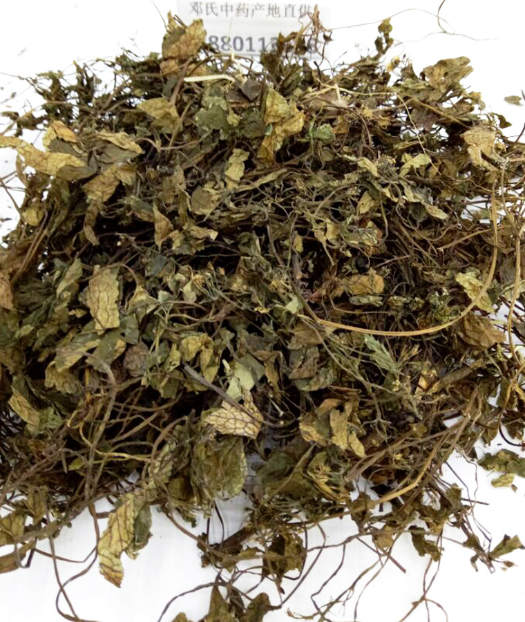 肺心草统货散装批发梅花草产地直供白侧耳中药材批发肺形草