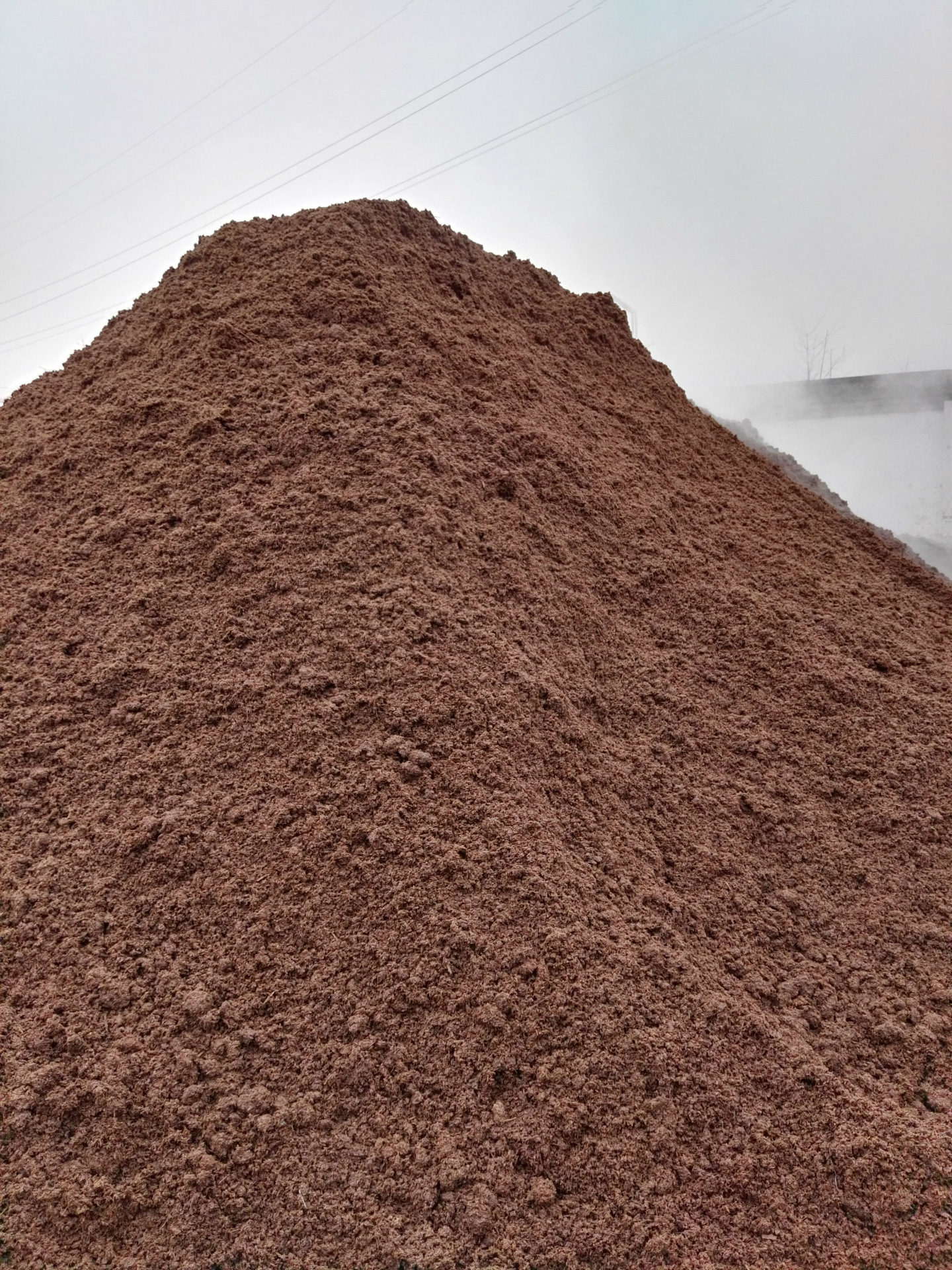 高粱酒糟粉 白酒糟 ddgs