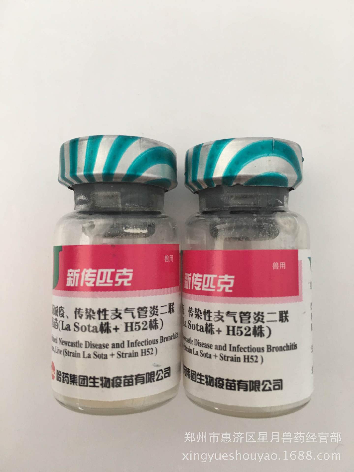 哈药小鸡疫苗 鸡传染性h52二联活疫苗新传匹克鸡瘟一瓶价