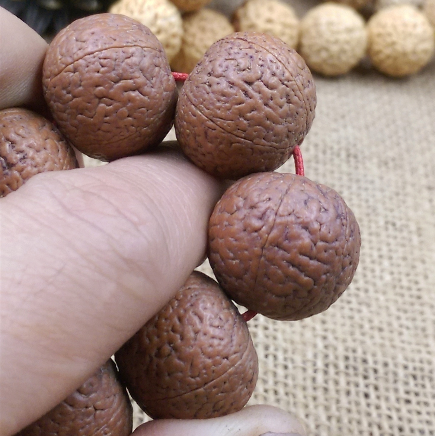 五瓣印尼大金刚菩提子 铁子红皮 爆肉 脑纹矮桩 无忧子龙鳞.