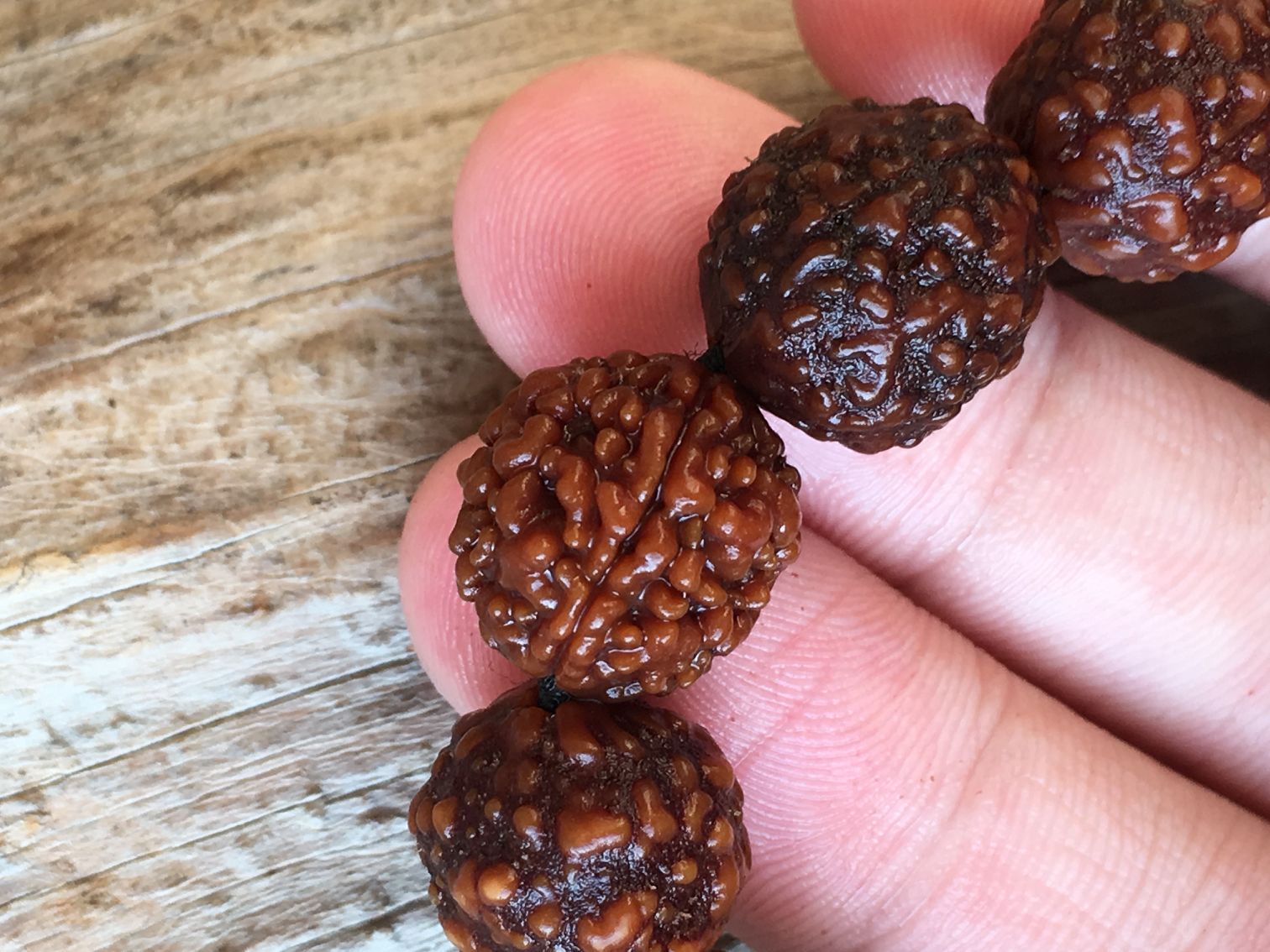 金刚菩提子麒麟纹强货满肉纹款厚皮质一棵树籽