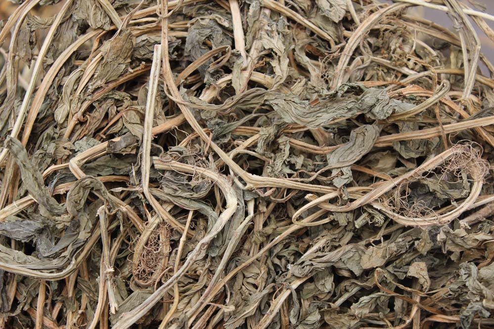 批发零售优质灵草零陵香灵香草火锅底料香料散装