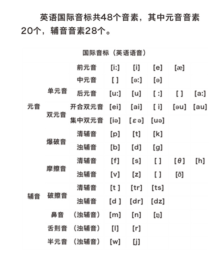 英语48张音标卡片 国际音标学习卡片英语