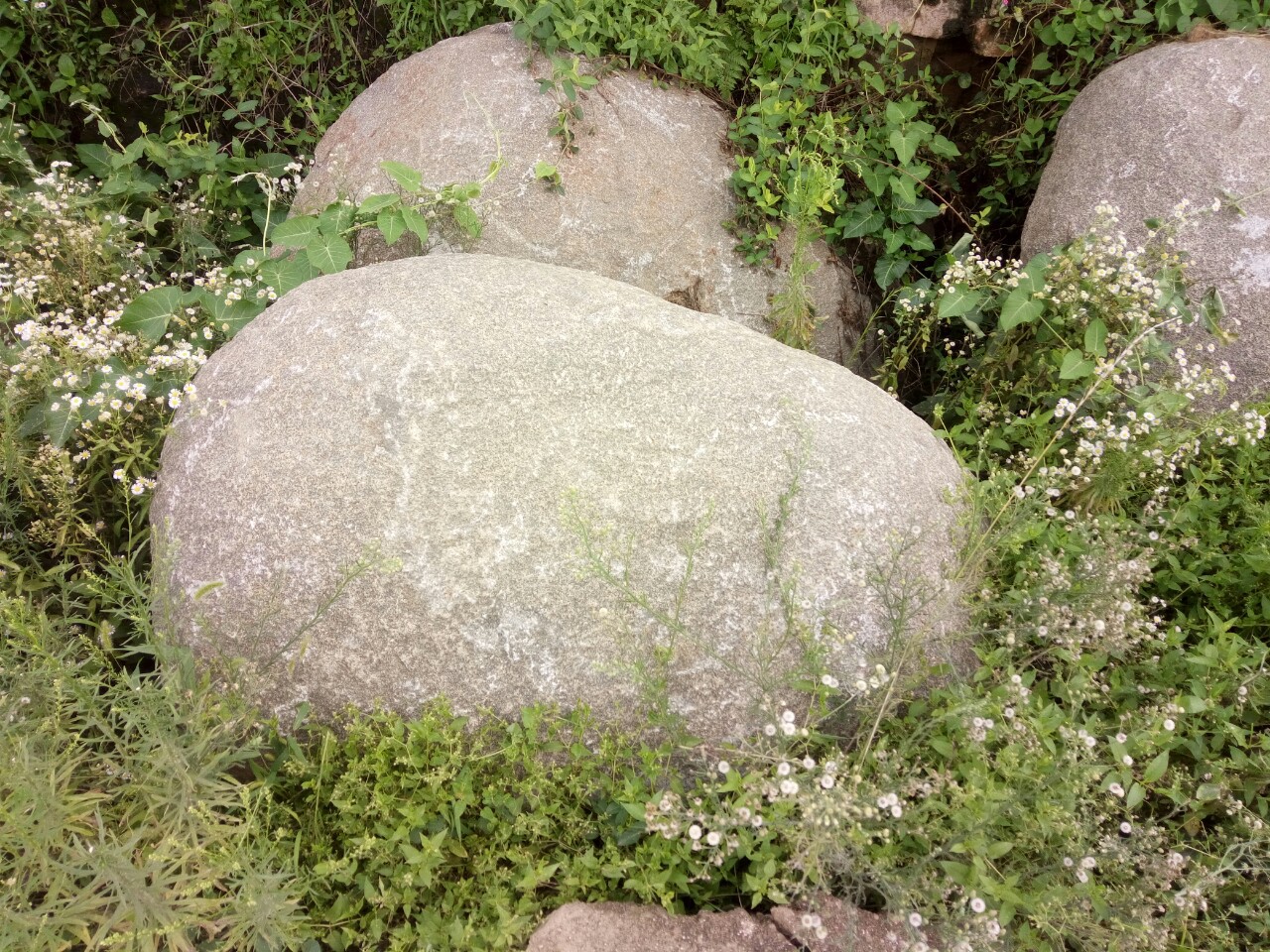 杭州市建德市鹅卵石 大卵石 自然河石 河卵石开采基地**