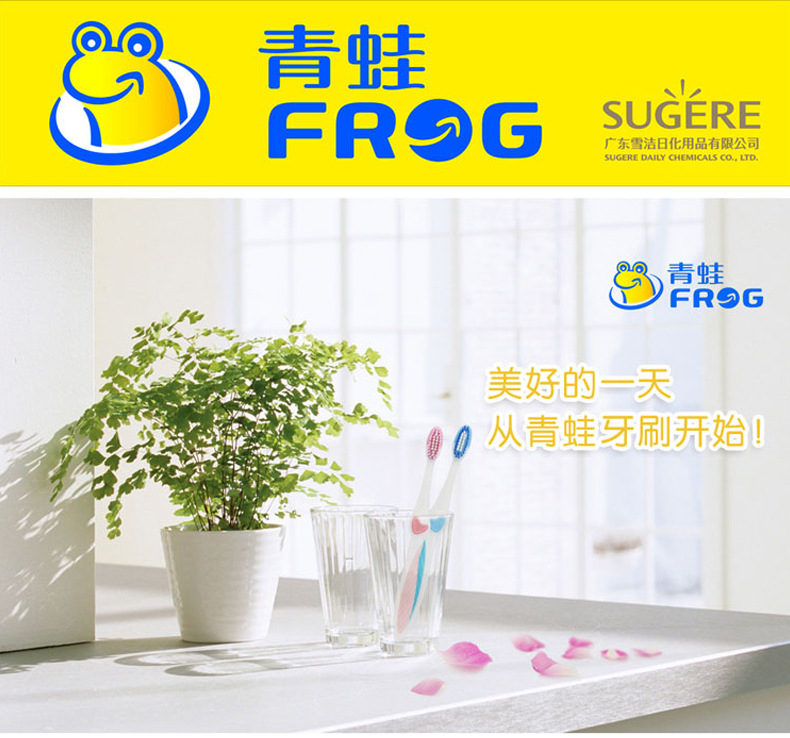 正品青蛙牙刷优惠装牙刷997牙刷护龈软胶