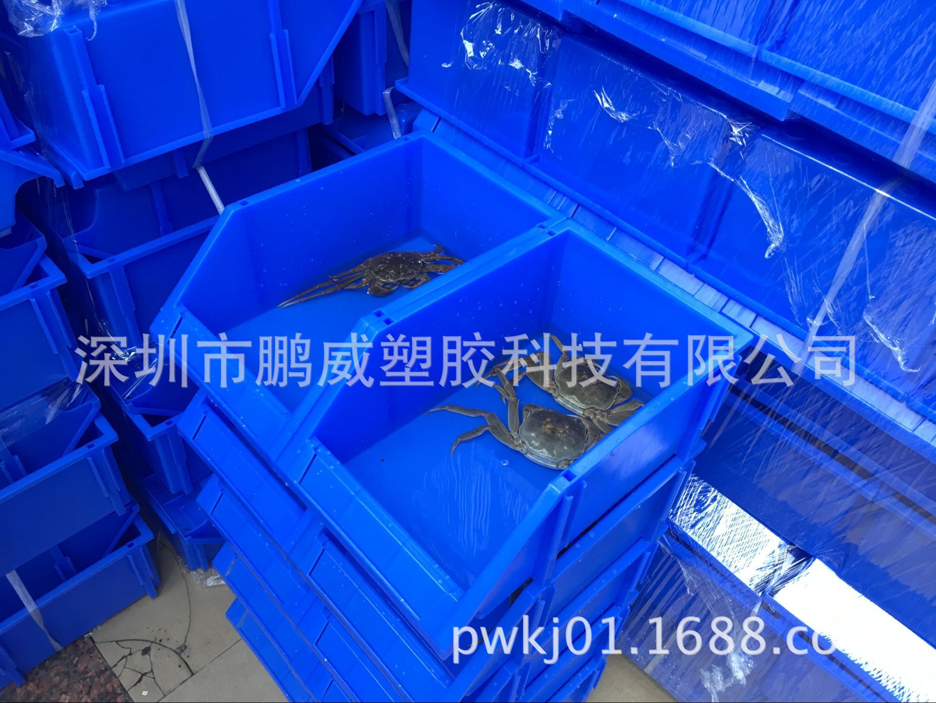 【2只装】塑料零件盒 螃蟹养殖盒 蓝色全新料 pe材质 加厚型-阿里巴巴