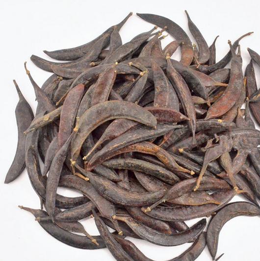 猪牙皂角小皂角饱满牙皂皂荚小皂荚1000g克中草药材批发