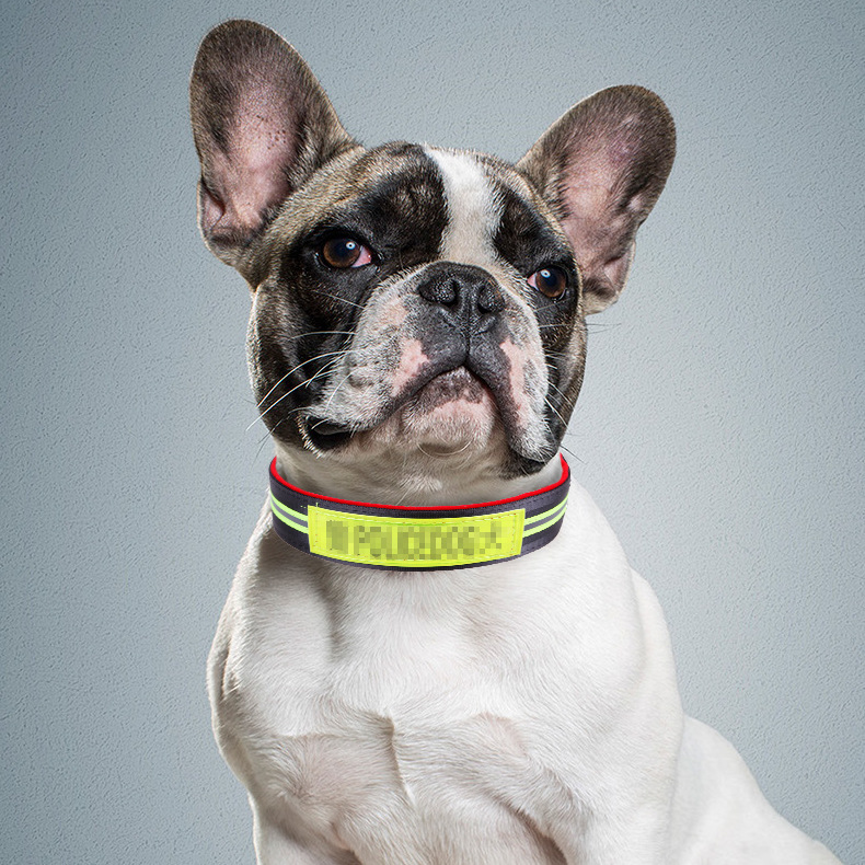 项圈2017新款 宠物反光项圈 遛狗脖套 脖圈德牧金毛大中型狗狗颈圈