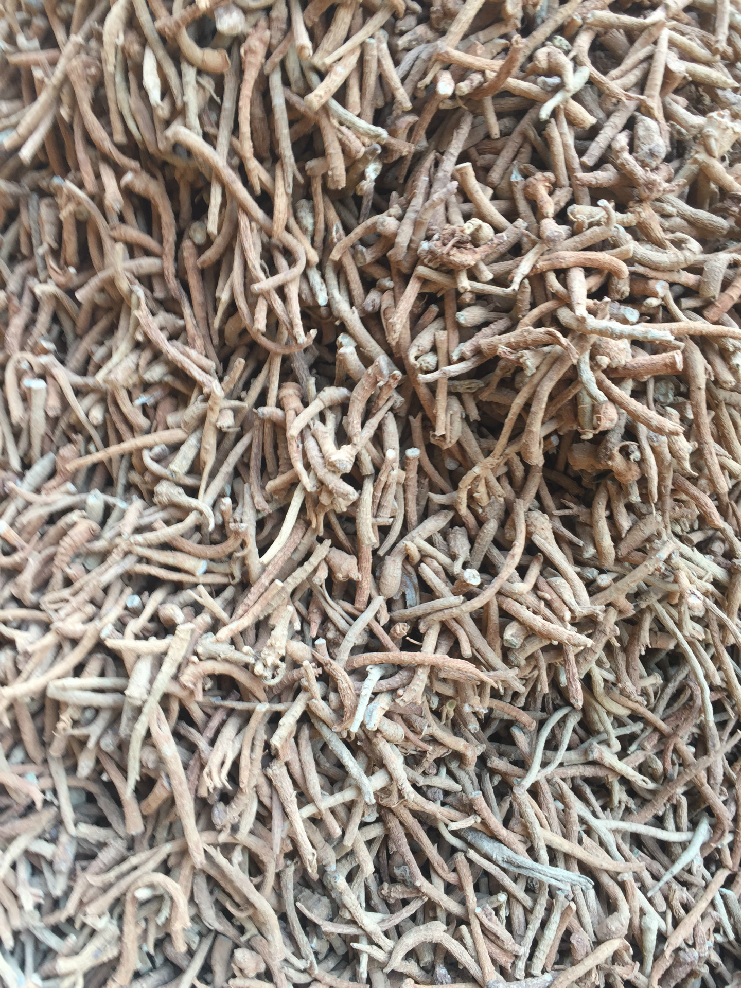 云南省文山特产三七根条三七大根大量批发根须肉质翠绿品质优良