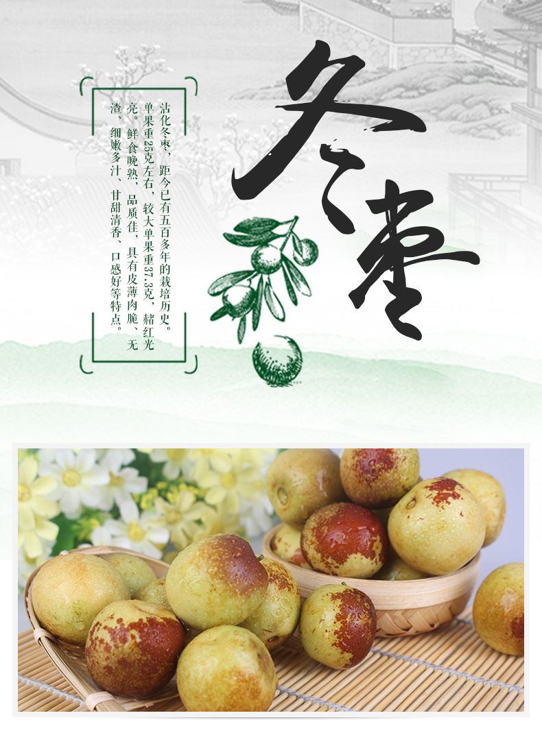 产地直销 香甜脆皮冬枣 沾化冬枣新鲜采摘无添加五斤