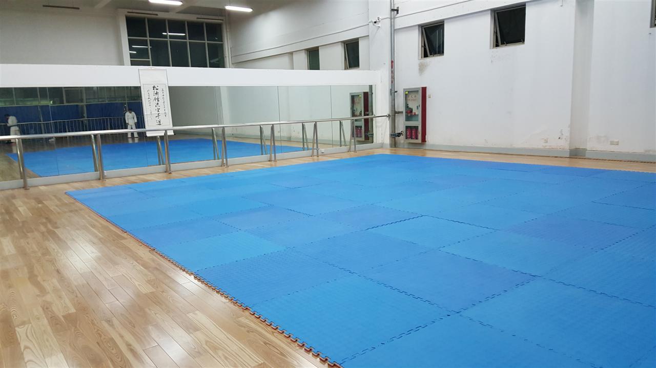 树叶纹跆拳道馆专用地垫 舞蹈体操馆地垫 室内外游乐场所拼接地垫