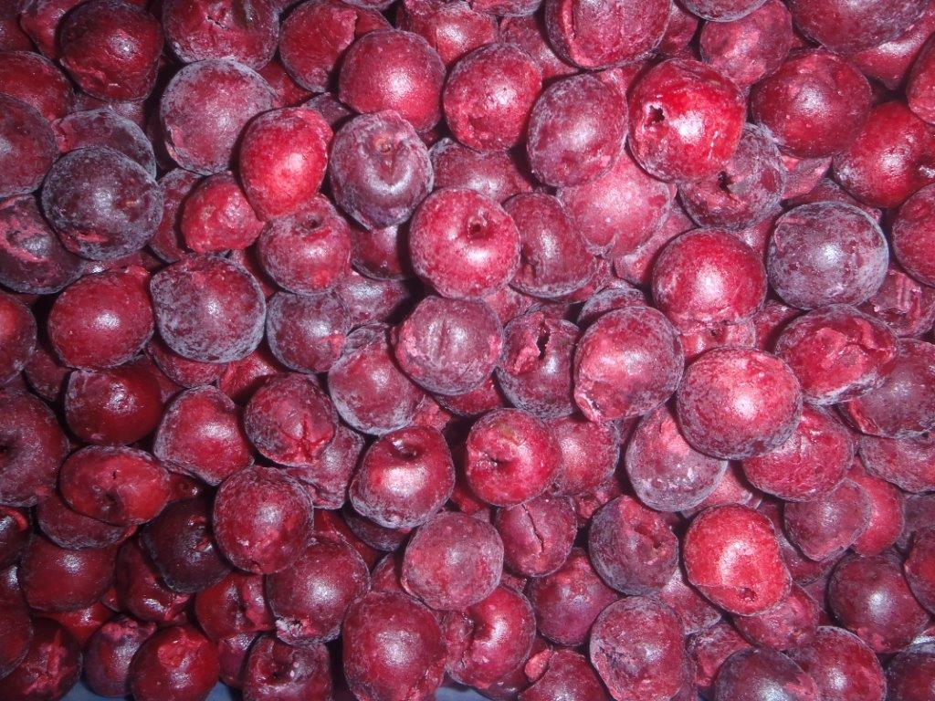 现货销售进口冷冻欧洲酸樱桃,红加仑,黑加仑 批发 去核樱桃