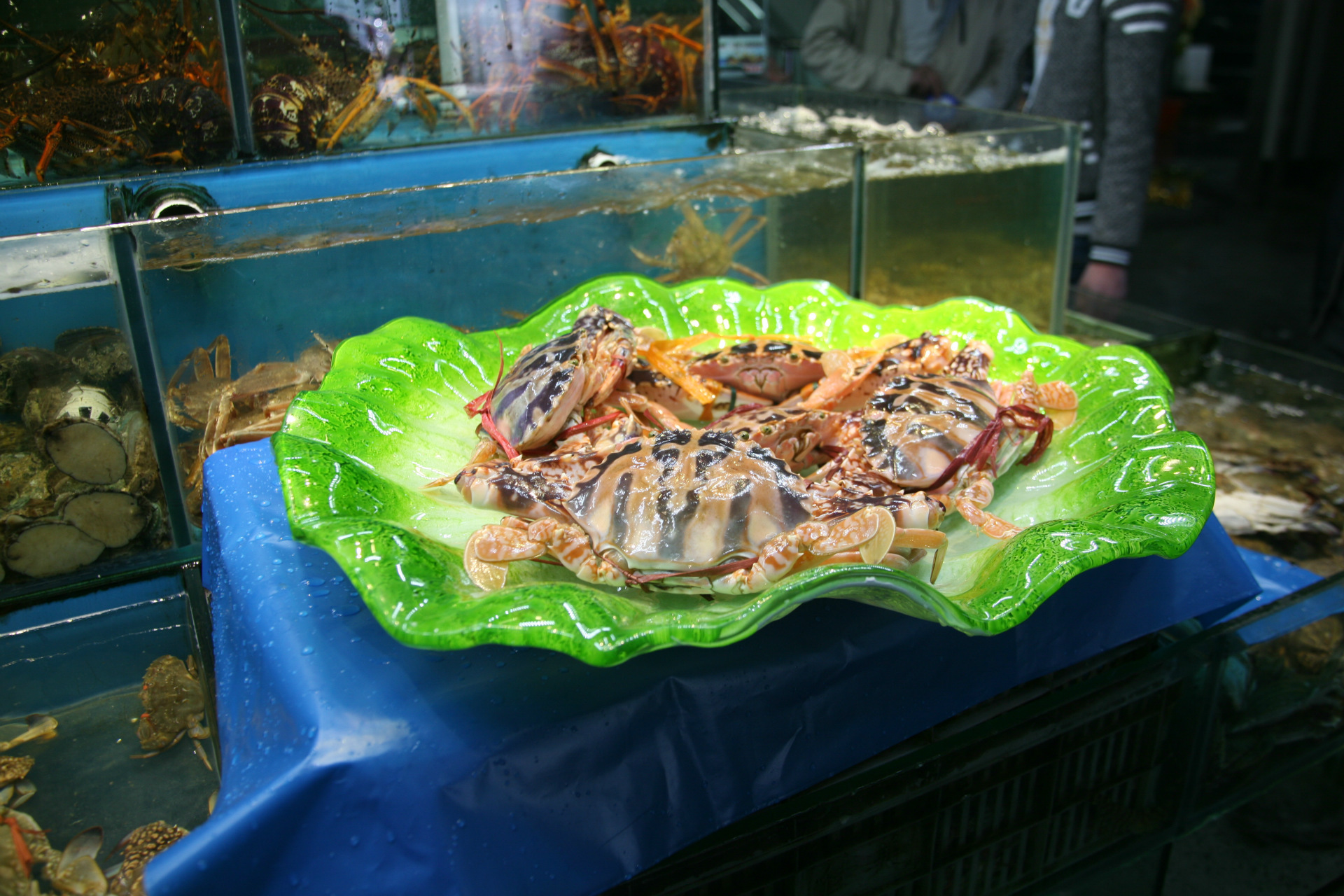 广东红花蟹批发 鲜活广东大螃蟹 海鲜水产螃蟹