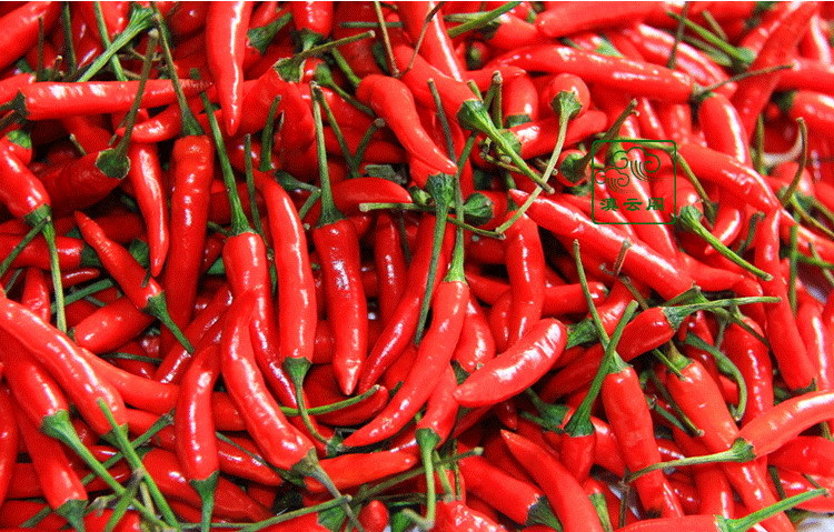 云南特产新鲜红色小米辣椒朝天椒超级辣爽口