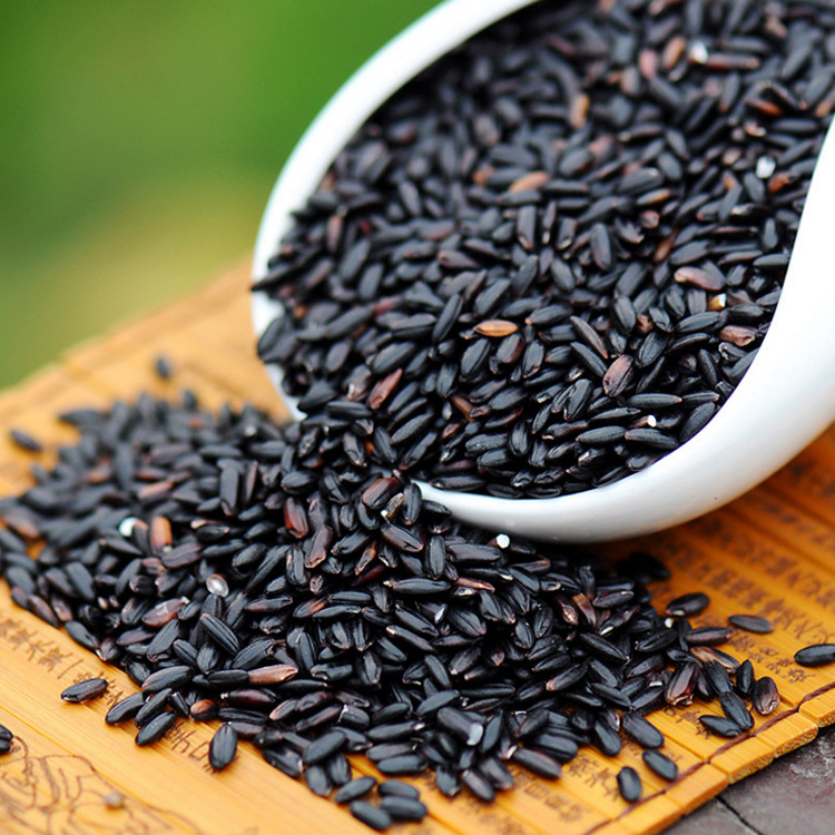 现磨新米东北黑米 农家香米 五谷杂粮黑大米厂家直销批发