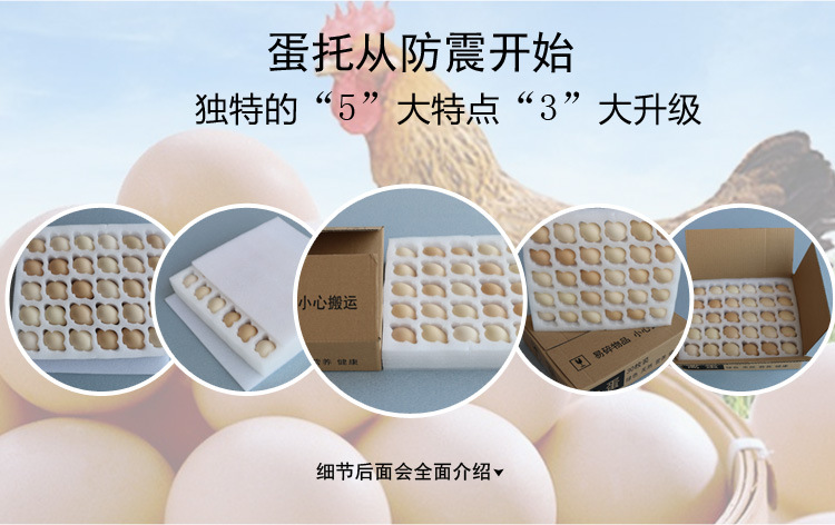 ������ݰ�װ