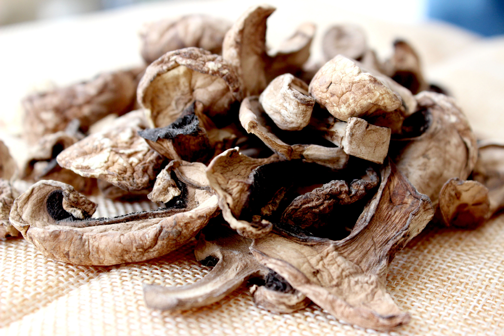 2016正宗祁连 野生蘑菇 *** 蘑菇干 食用菌散装蘑菇.