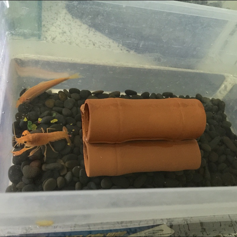 黑工砂 铁胆沙 石子 水族箱造景 鱼缸装饰 乌龟缸底砂 河沙包邮