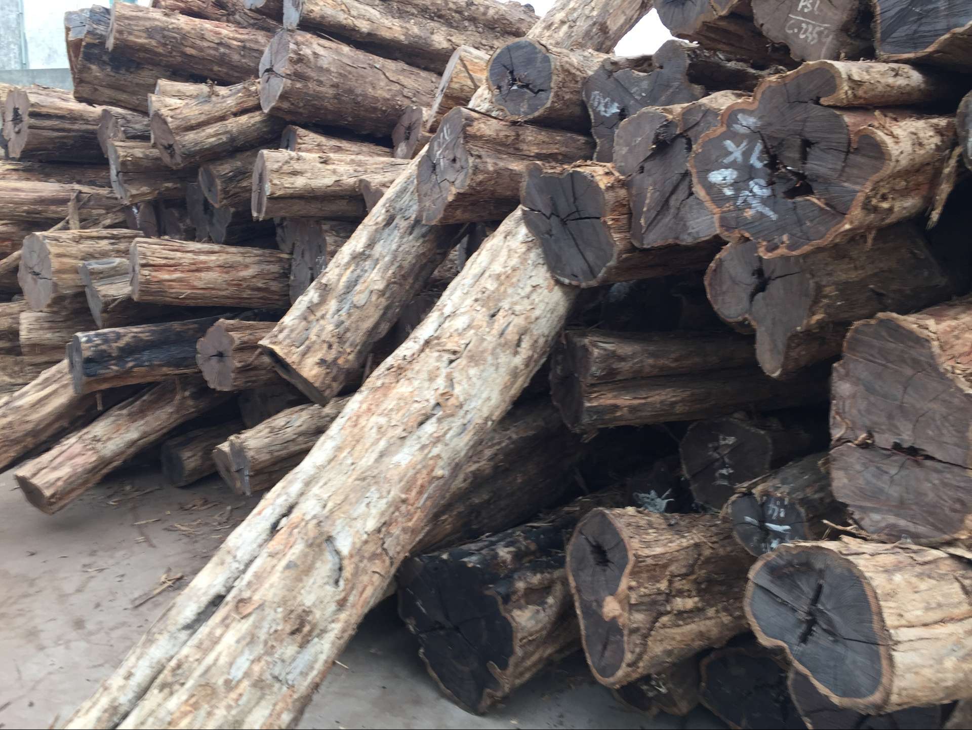 非洲紫光檀 (乌木) 高级家具材