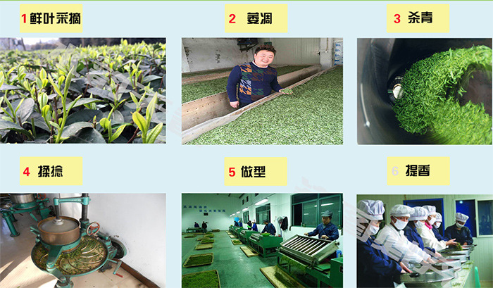 雀舌茶叶特级四川竹叶菁炒青绿茶批发一件代发2016新茶散装特级