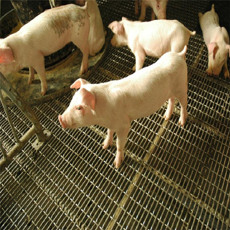 养猪铁丝网漏粪猪床网安徽漏粪铁丝猪床网规格