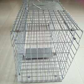 黄鼠狼笼子
